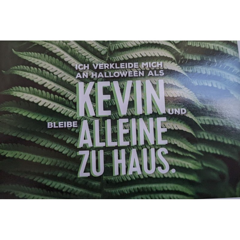 Halloween Kevin