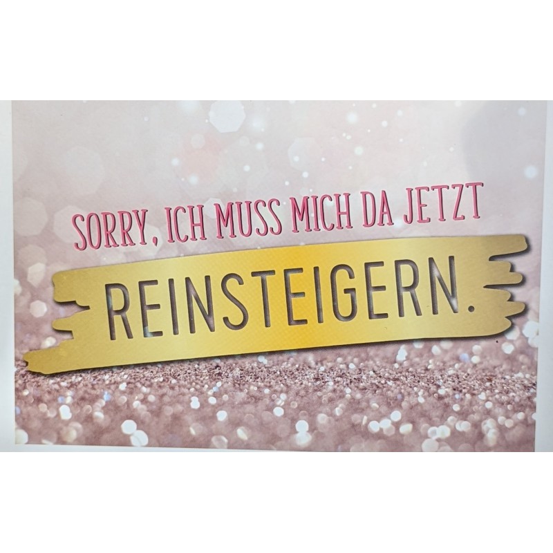 Reinsteigern