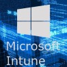 Logo Microsoft Intune